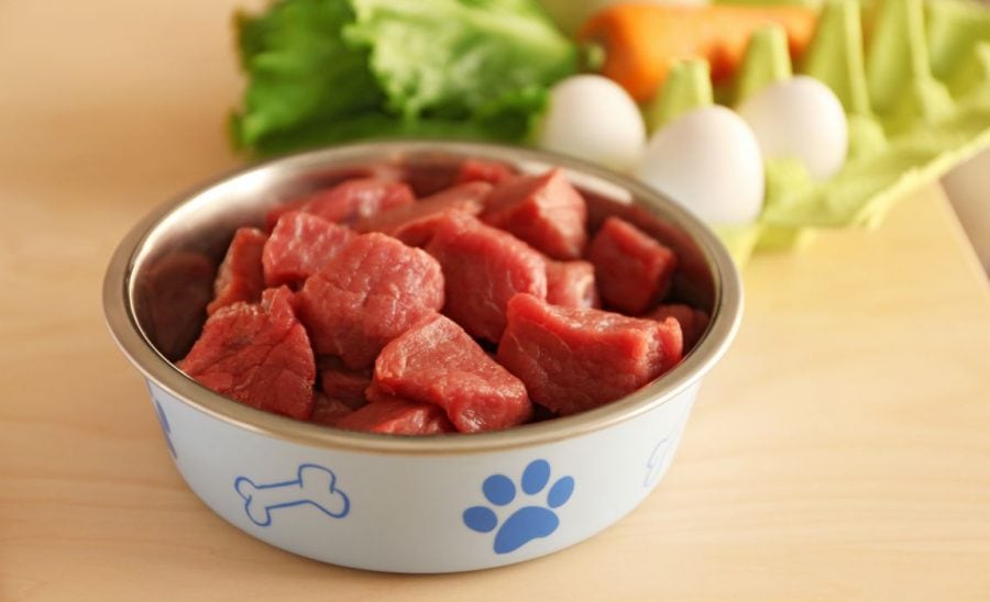 What’s All the Fuss about Raw Dog Food